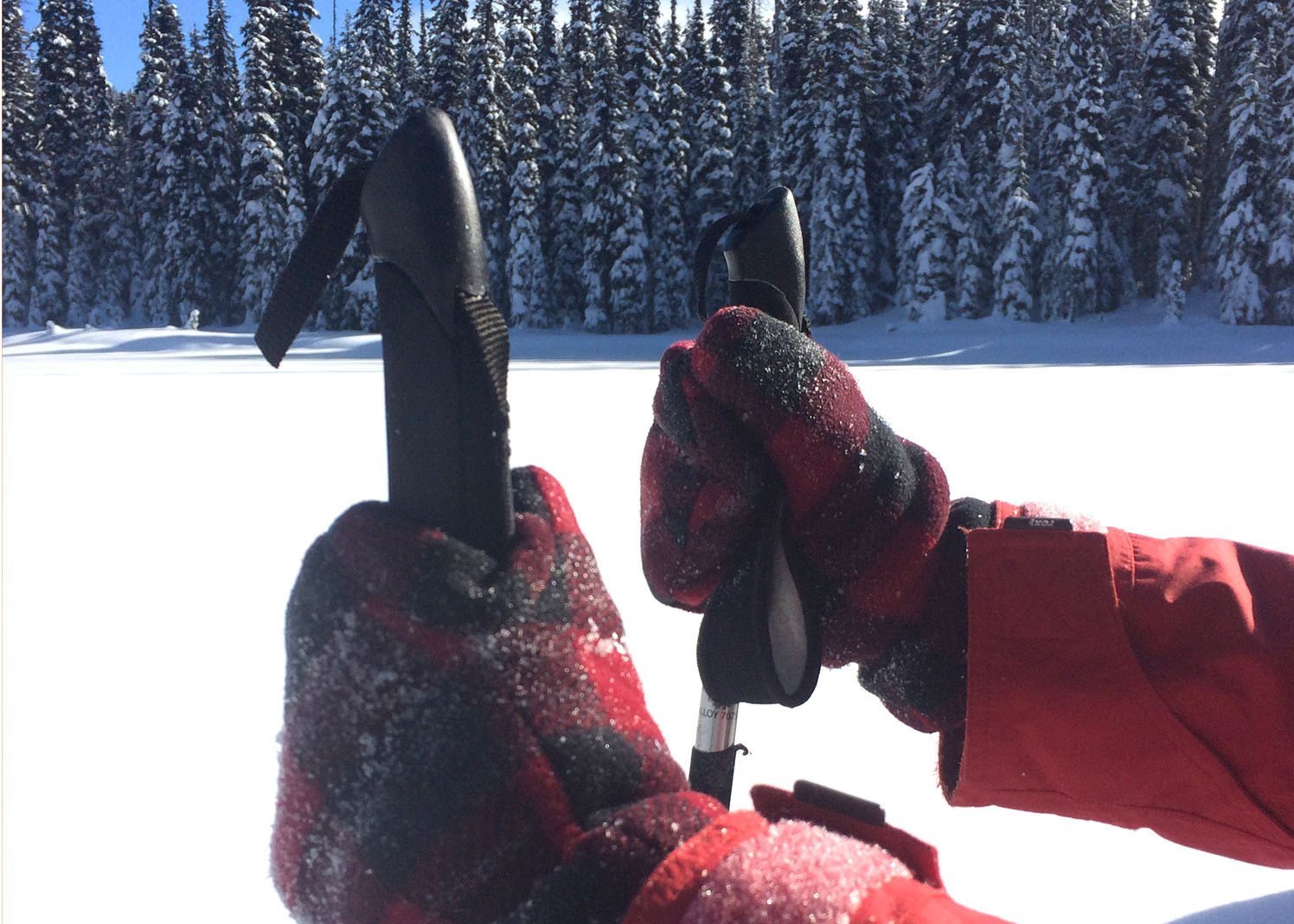 Polar Feet Fleece Mittens Adults Polar Feet Ltd